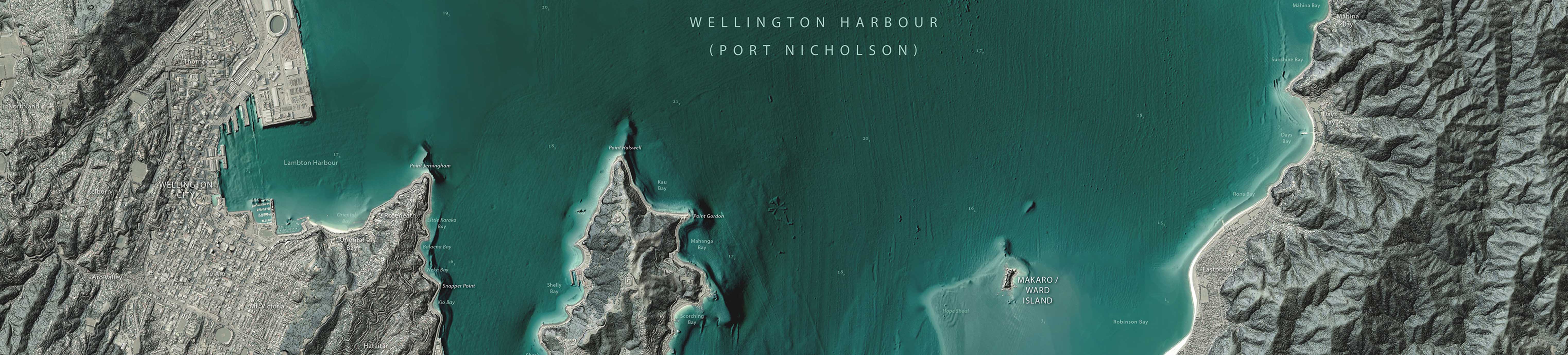 wellington_harbour_button